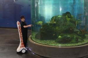 aquarium