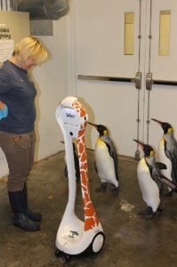 zoo